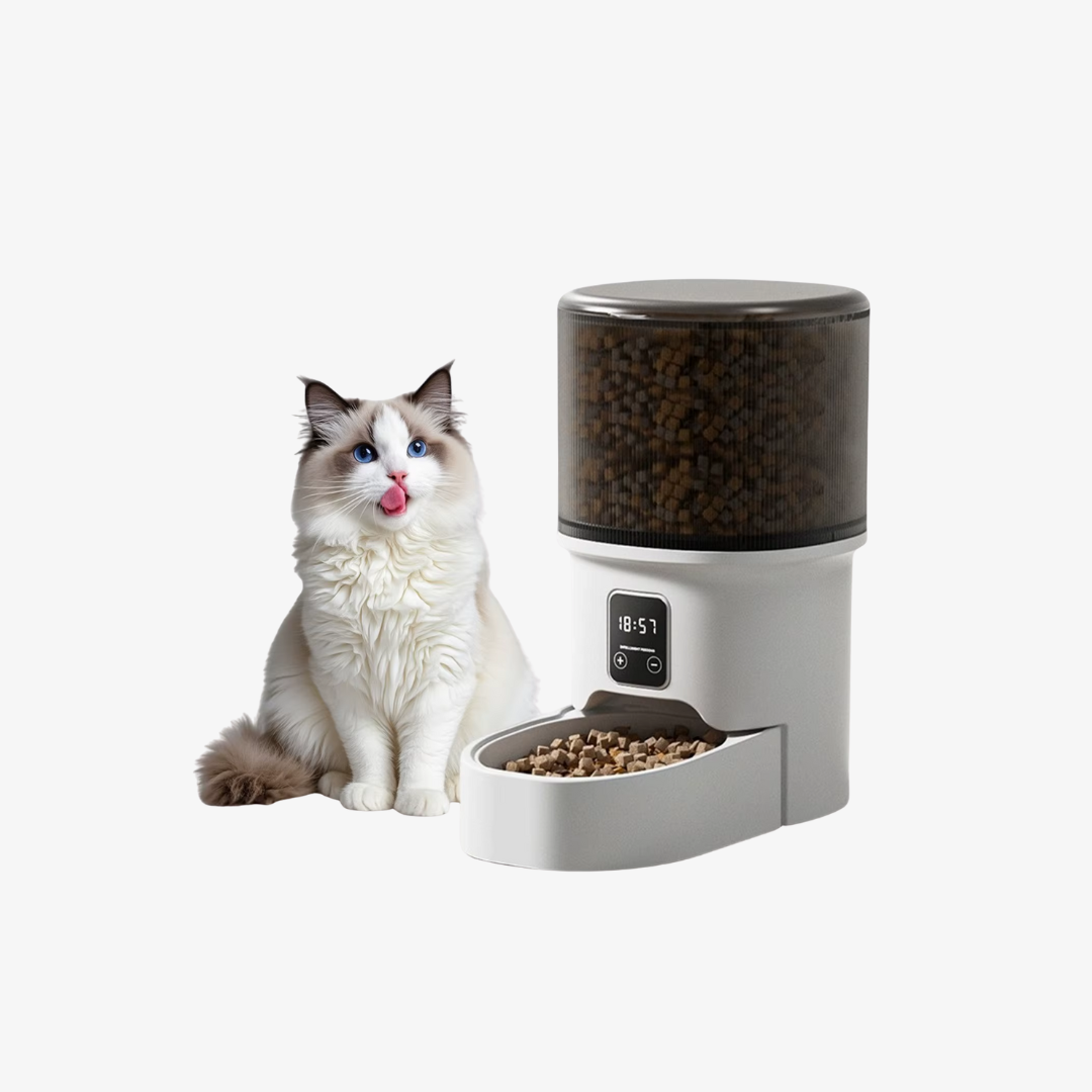Automatic Cat Feeder: 4L Cat Food Dispenser with Timer,Pet Feeder up to 6 Meals per Day, Timed Pet Feeder for Cats and Dogs